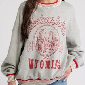 The Vinyl Icons Gray Jackson Hole Sweatshirt Sz XS